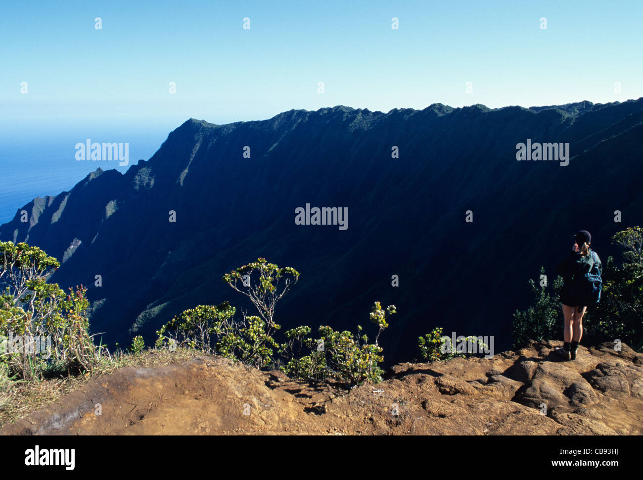 Hawaii, Kauai, Napali, Kalalau, hiking in Kokee State Park Stock Photo