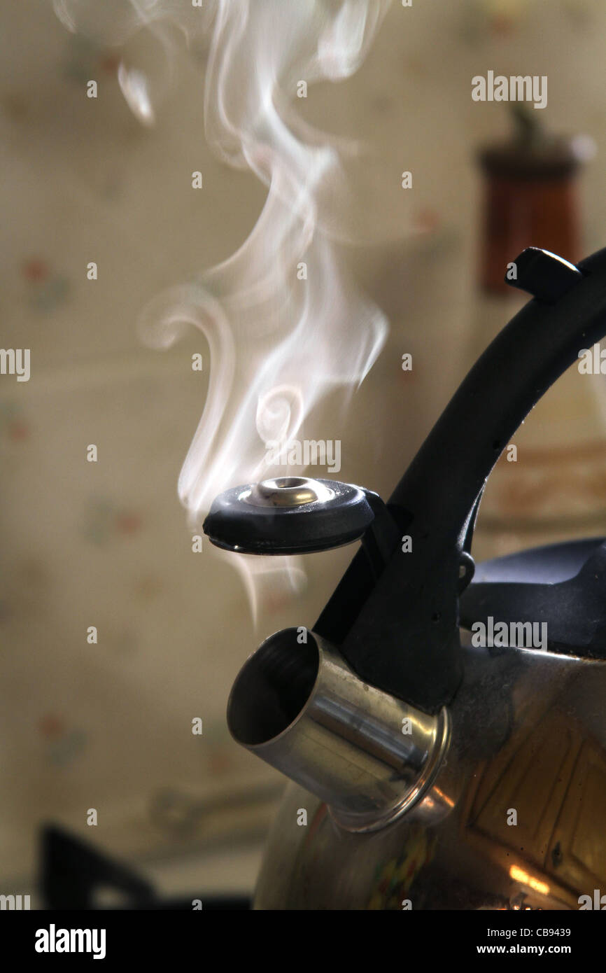 Steam escaping from gas kettle after boiling. Stock Photo