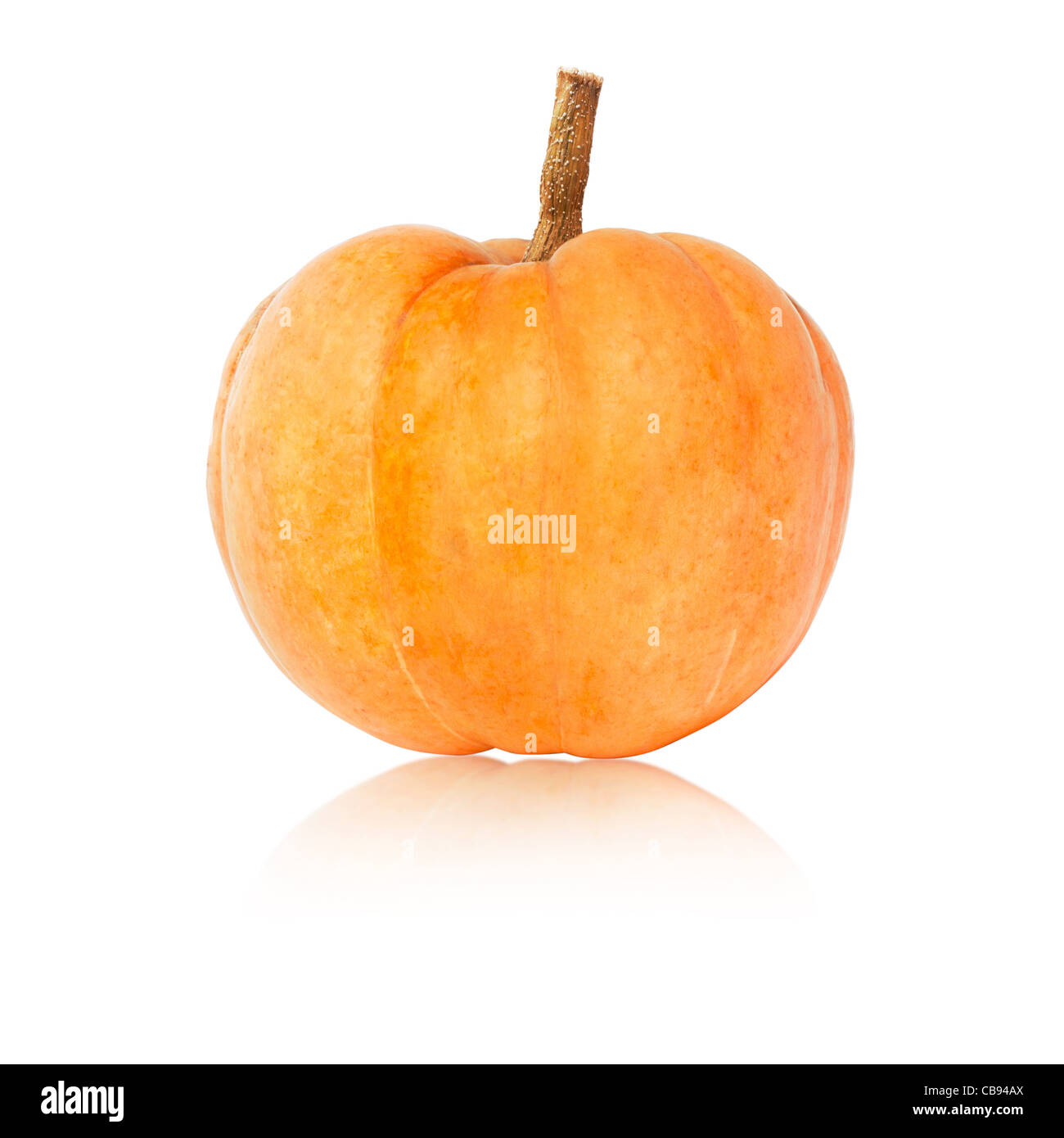 Large pumpkin on a white back ground Stock Photo