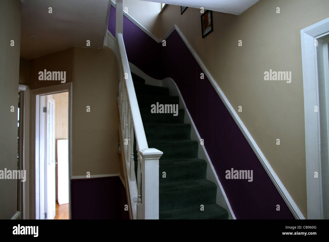 Stairs, Stair way, Green Carpet, Purple Wall, Doors and pictures on the wall. Stock Photo