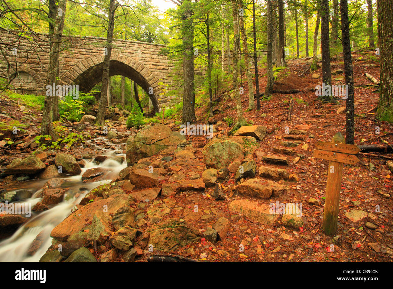 Hemlock Bridge and Maple Springs Trail, Acadia National Park, Maine, USA Stock Photo