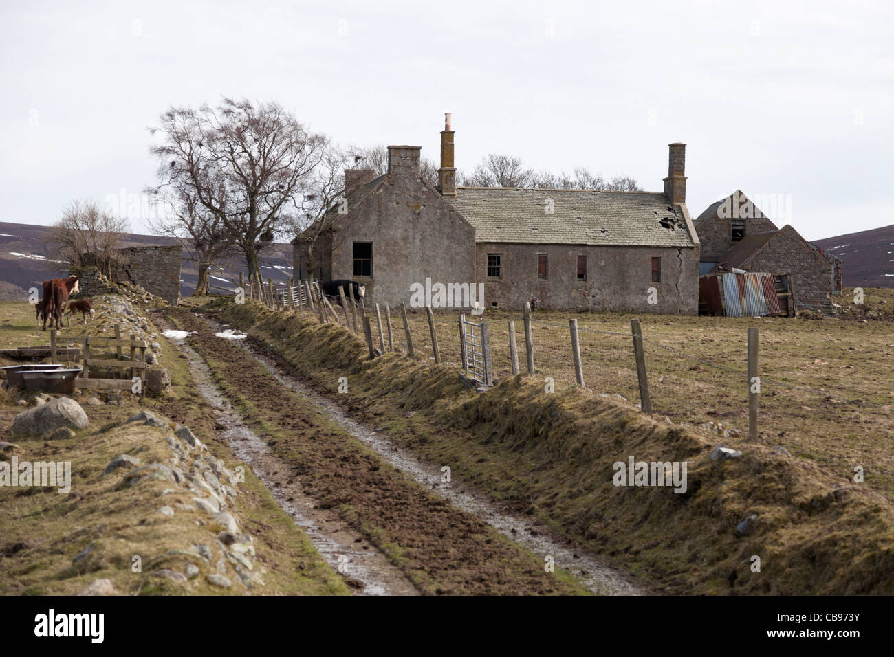 Abandonned farmhouse falling into dereliction in rural Aberdeenshire, Scotland Stock Photo