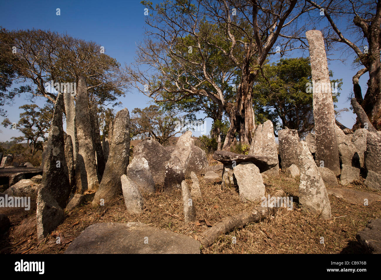 India, Meghalaya, Jaintia Hills, Shillong district, Nartiang Megaliths, stone monoliths remembering Jaintia rulers Stock Photo