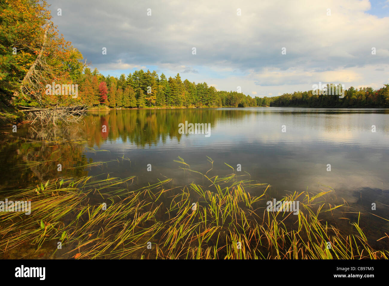 Abol Pond, Baxter State Park, Millinocket, Maine, USA Stock Photo Alamy