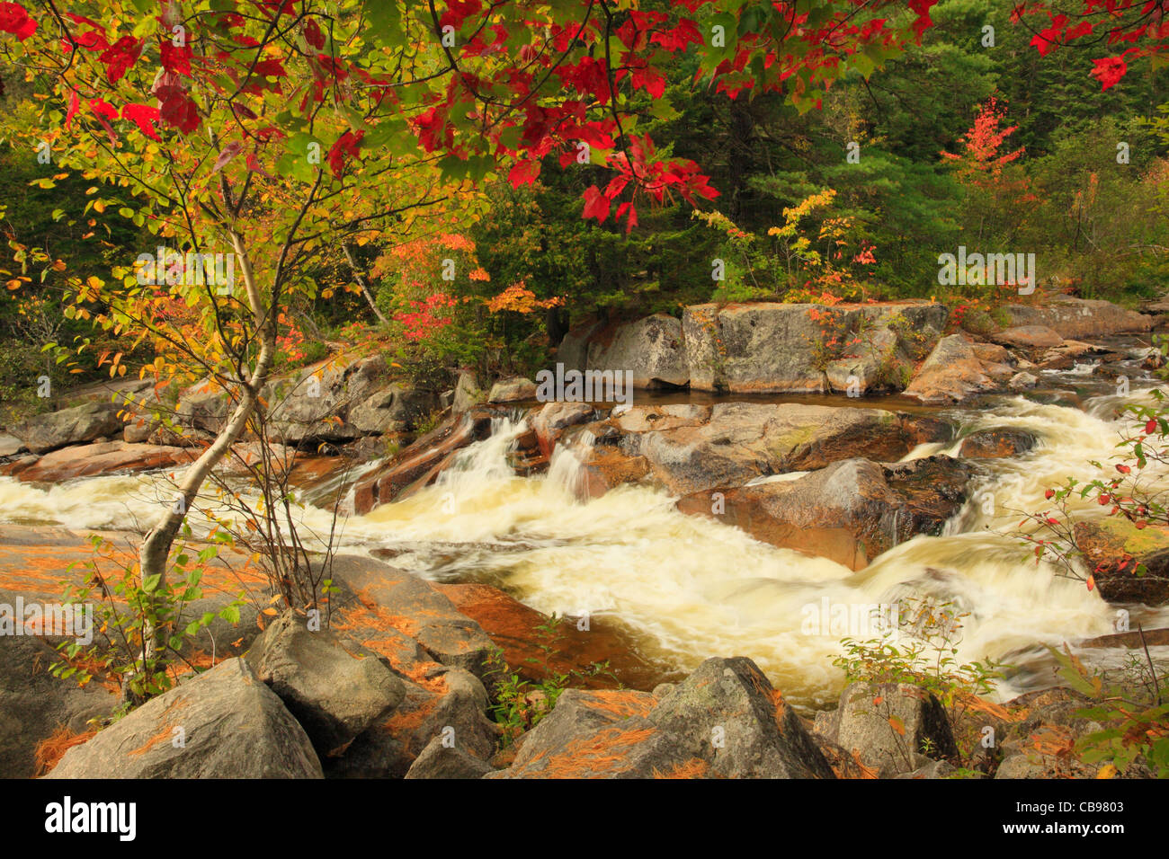 Little NIagra Falls, Appalachian Trail, Nesowadnehunk Stream, Baxter State Park, Millinocket, Maine, USA Stock Photo