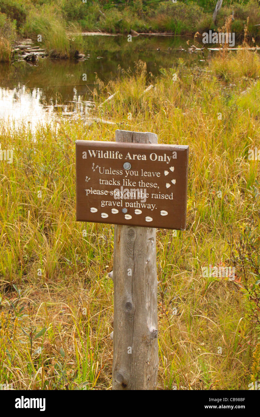 Stump Pond, Baxter State Park, Millinocket, Maine, USA Stock Photo Alamy