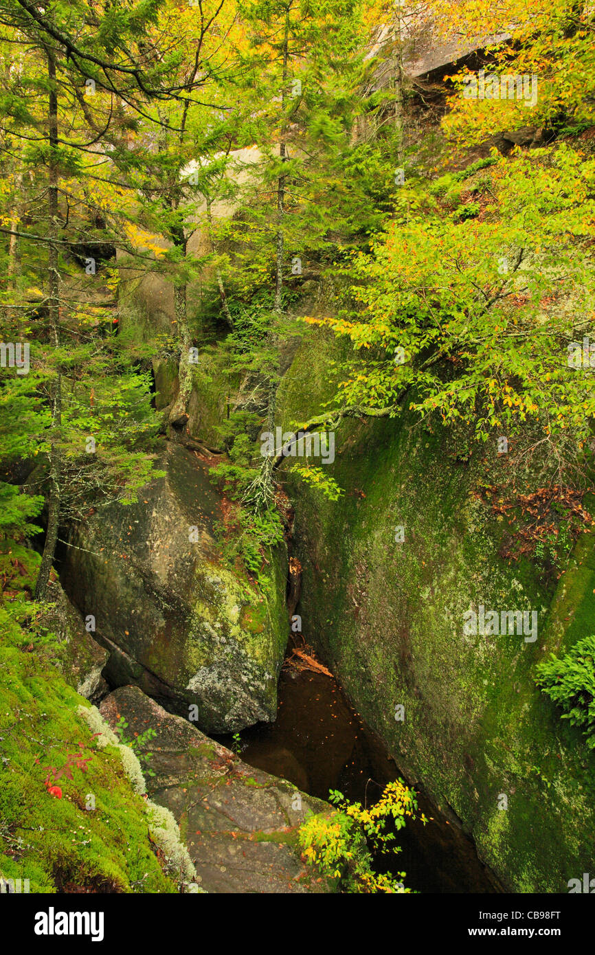 Moose Cave Bear River, Grafton Notch State Park, Newry, White Mountains, Maine, USA Stock