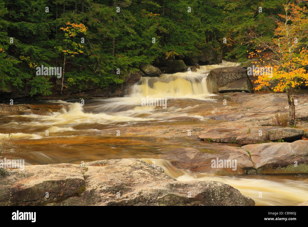 Bear River, Grafton Notch State Park, Newry, White Mountains, Maine, USA Stock Photo
