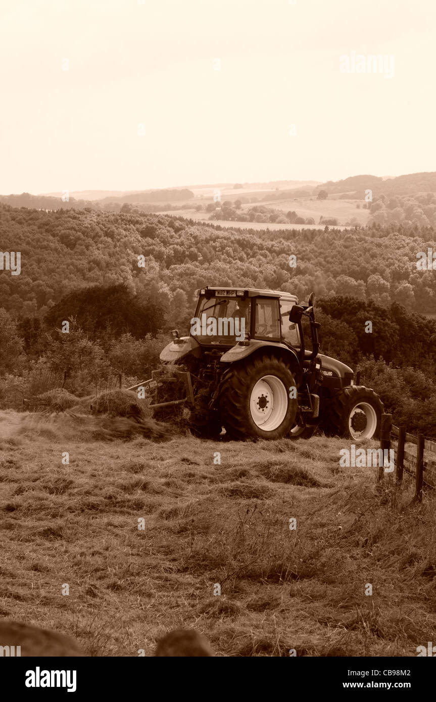 Tractor raking hay in field Stock Photo - Alamy