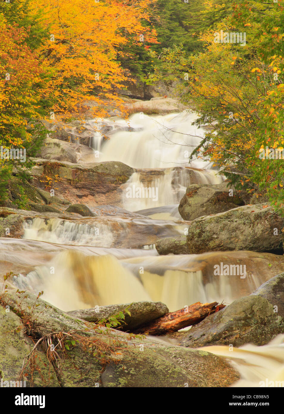 Step Falls, Step Falls Preserve, Newry, White Mountains, Maine, USA Stock Photo