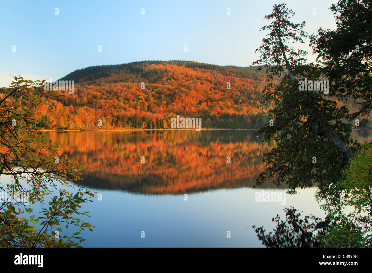 Sandy River Ponds Near Appalachian Trail, Rangeley, Maine, USA Stock