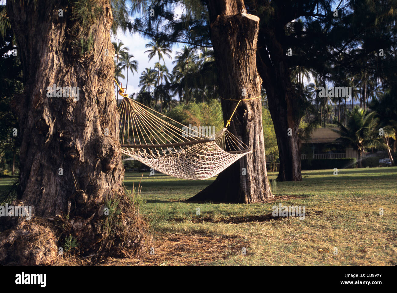Hawaii, Kauai, Waimea Plantation Cottages, Waimea Town, hammock between