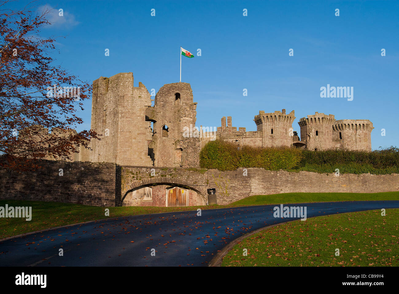 Raglan Castle (late medieval), Monmouthshire, Gwent, Wales, UK Stock Photo