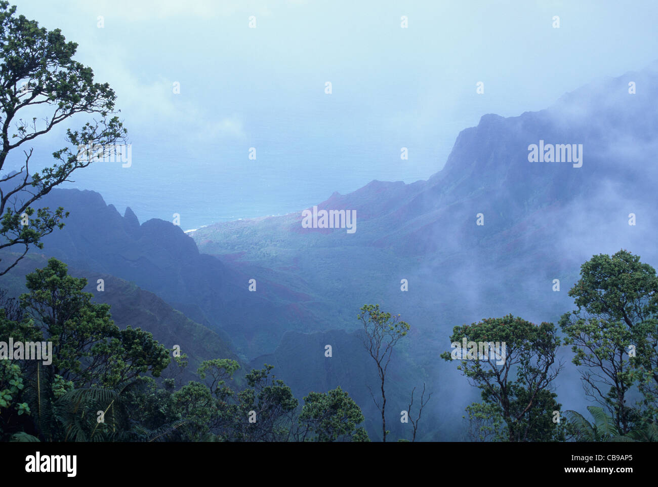 Hawaii, Kauai, view of valley from Kokee State Park's Kalalau Valley