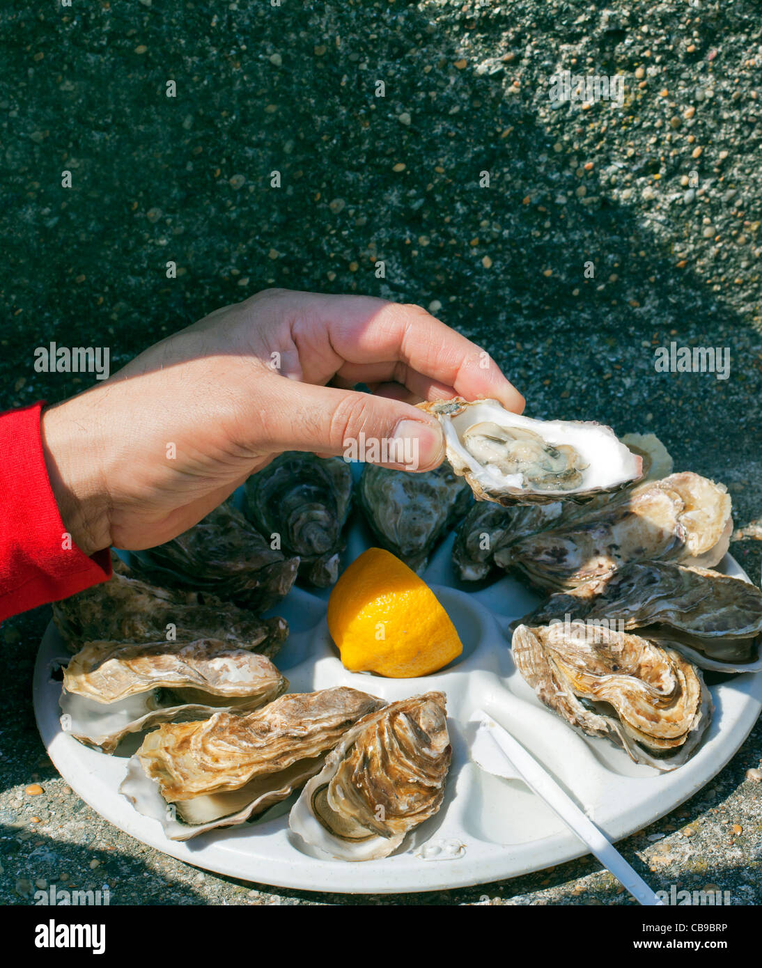Oyster picnic, Cancale, Brittany, France, Europe Stock Photo