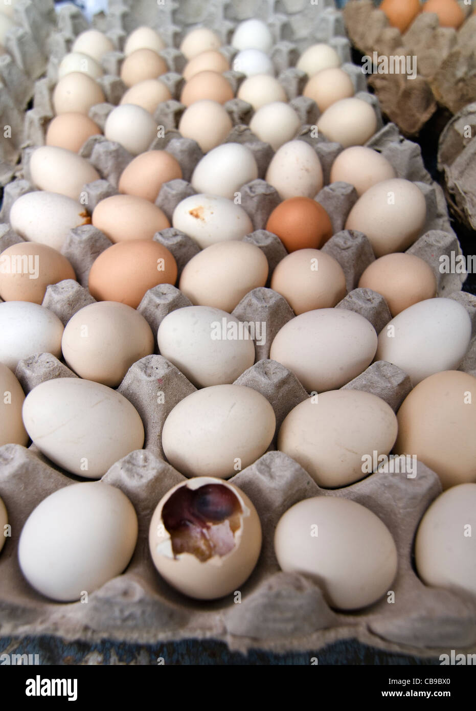 Fertilized duck eggs (Balut or Maodan) sold in a market in China. This high protein egg is very popular in Asia. Stock Photo