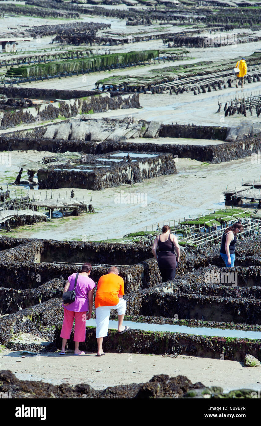 Oyster beds and tourists, Cancale, Brittany, France, Europe Stock Photo