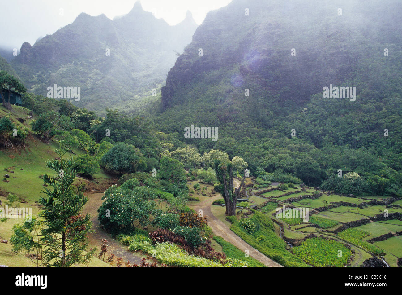 National tropical botanical garden hi-res stock photography and images ...