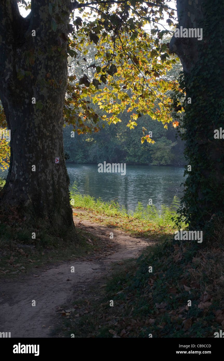 Trees overhanging a river hi-res stock photography and images - Alamy