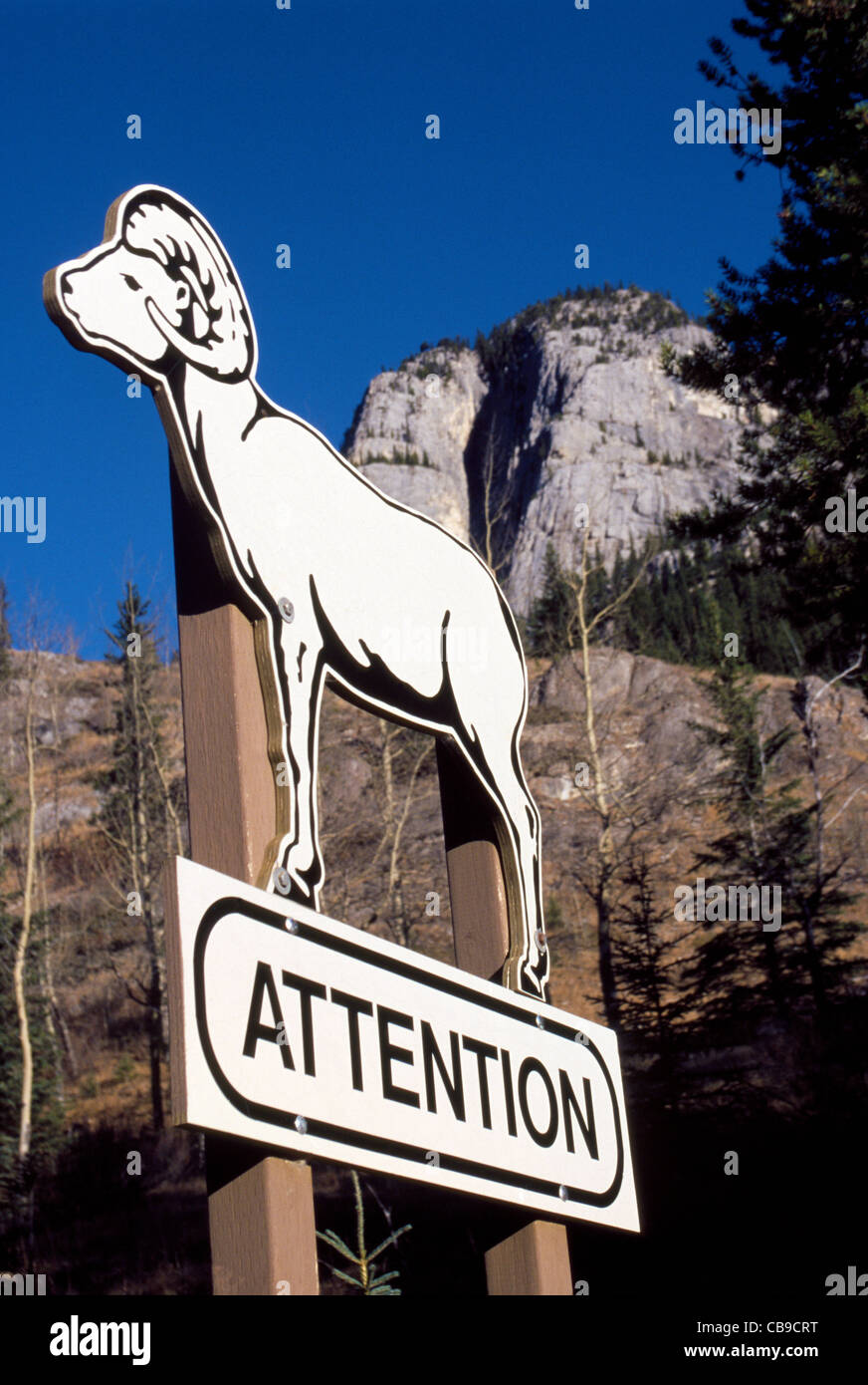 A large illustrated road sign warns motorists to pay attention and watch out for Big Horn Sheep in the Canadian Rockies near Banff, Alberta, Canada. Stock Photo