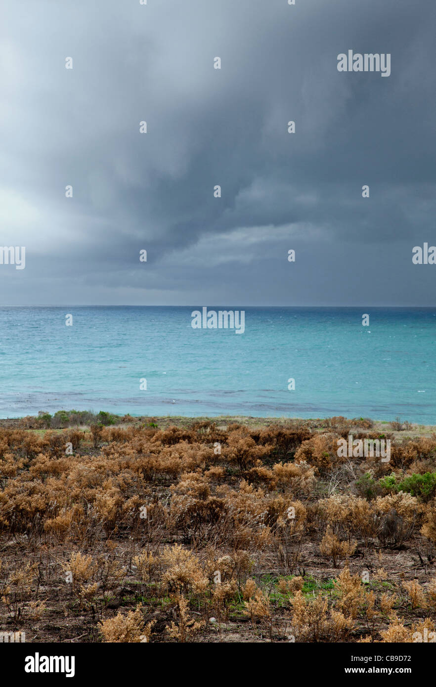 San simeon beach hires stock photography and images Alamy