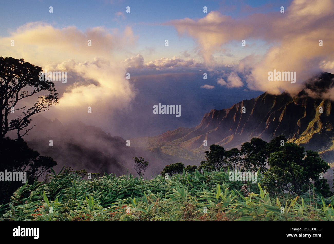 Hawaii, Kauai, Napali, Kalalau, valley view from Kokee State Park's