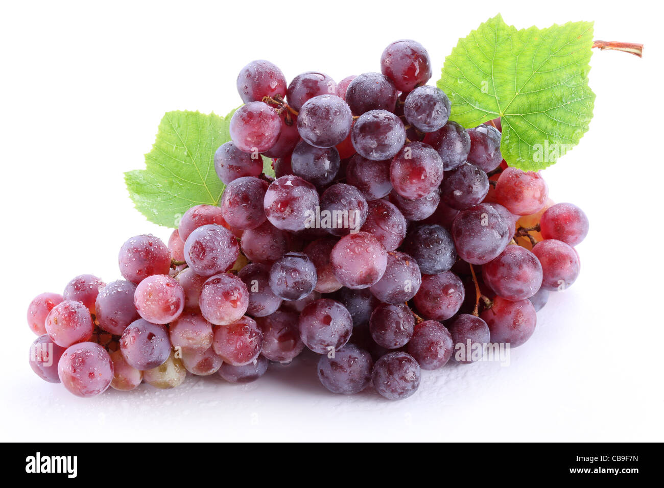 Grape cluster with leaves isolated on a white background Stock Photo