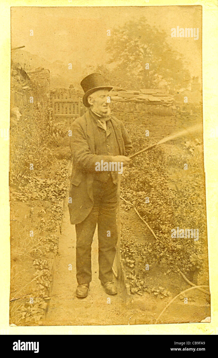 Cabinet photograph of Victorian gardener watering his garden Stock Photo