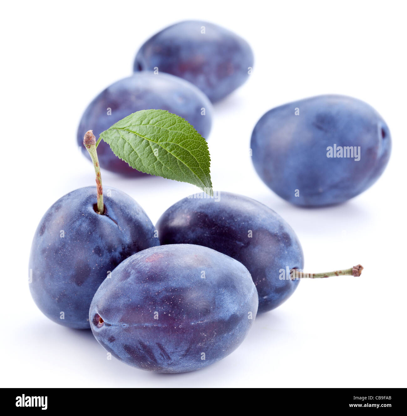 Plums isolated on white background Stock Photo