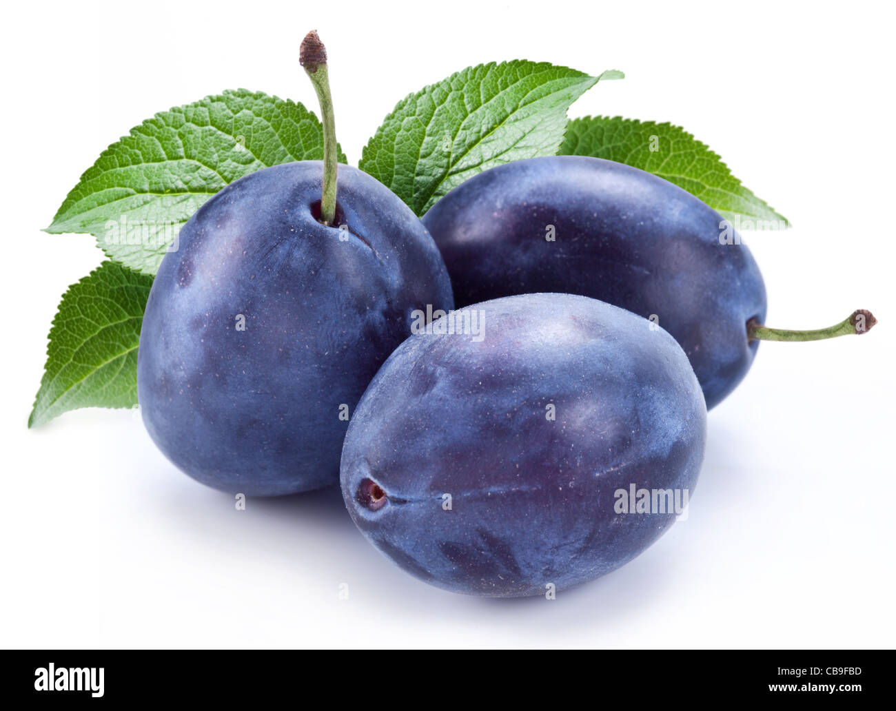 Group of plums with leaf isolated on a white background. Stock Photo