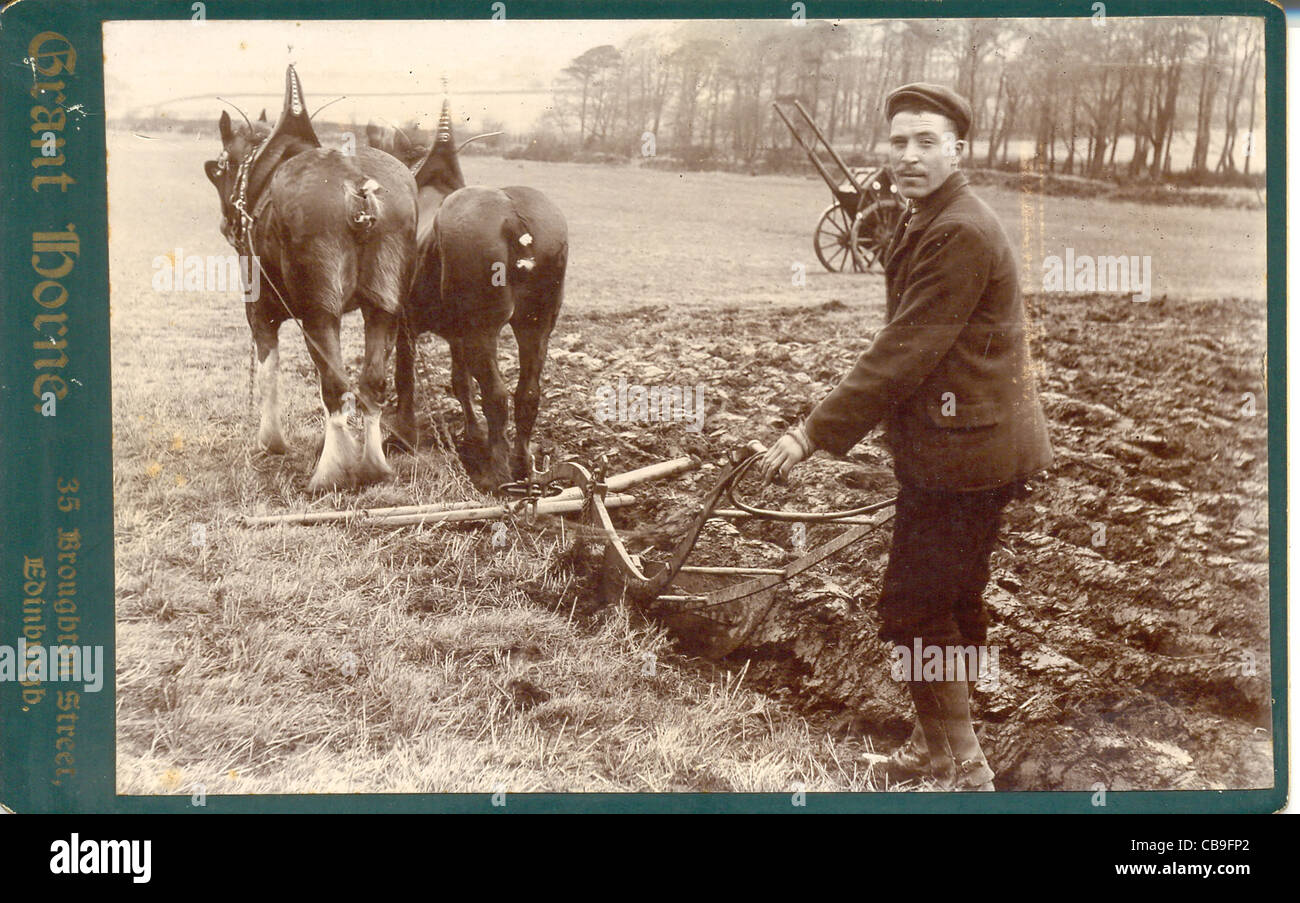 Cabinet photograph of man ploughing with horses Stock Photo