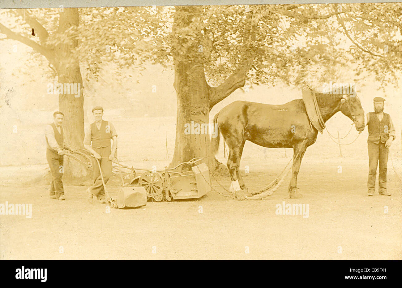 Cabinet photograph of horse drawn lawn mower circa 1885 Stock Photo