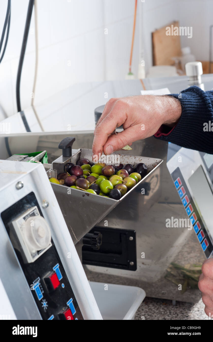 Tests being carried out in a food laboratory Stock Photo - Alamy