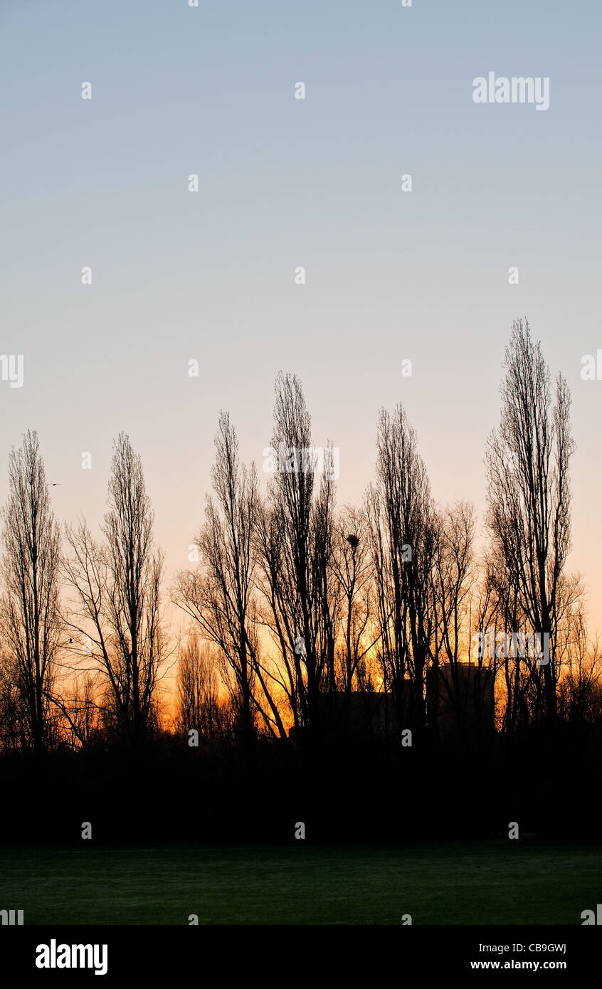 Sunrise silhouette portrait hi-res stock photography and images - Alamy