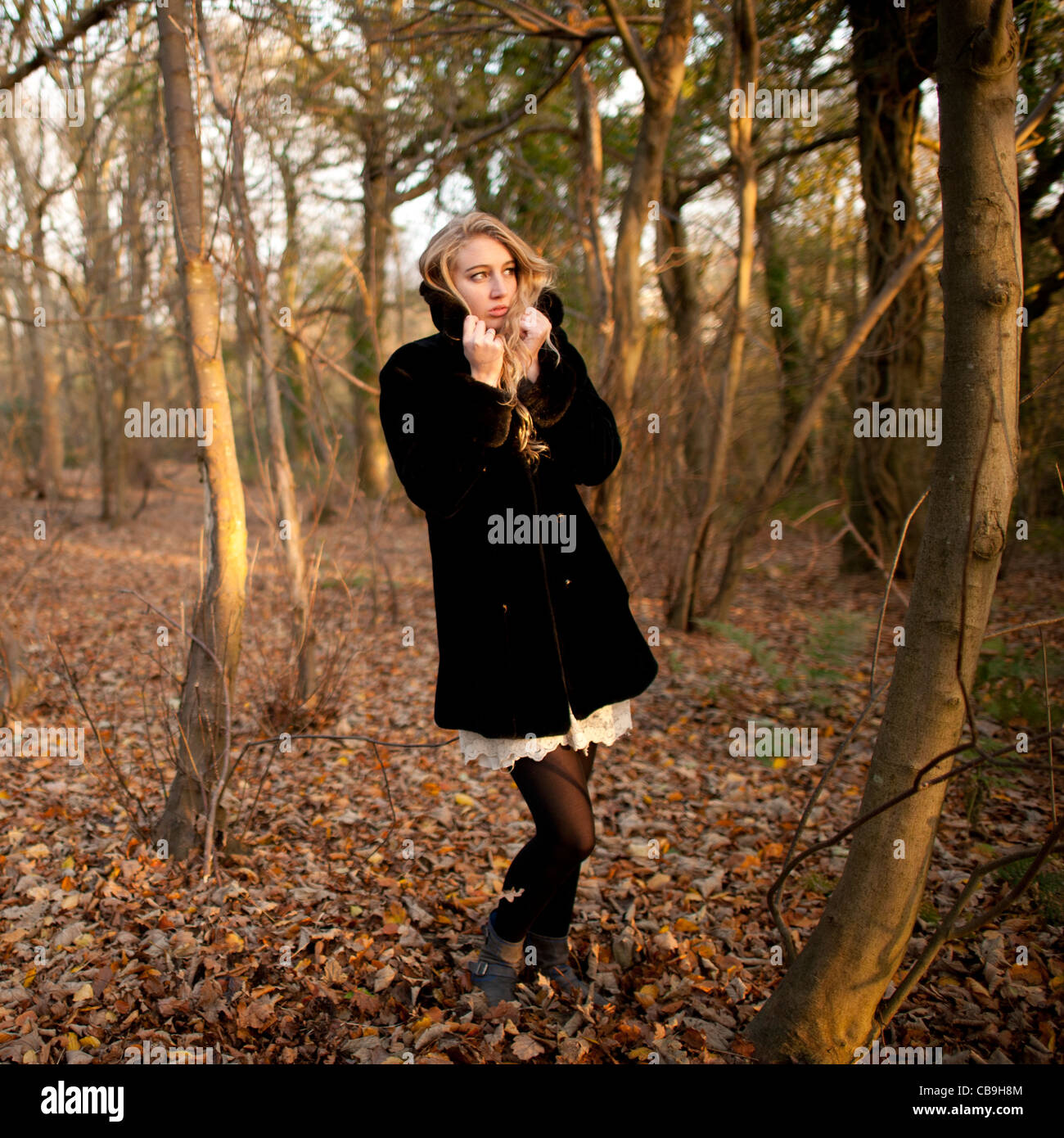 a slim blonde woman girl alone in woodland autumn afternoon daytime UK Stock Photo
