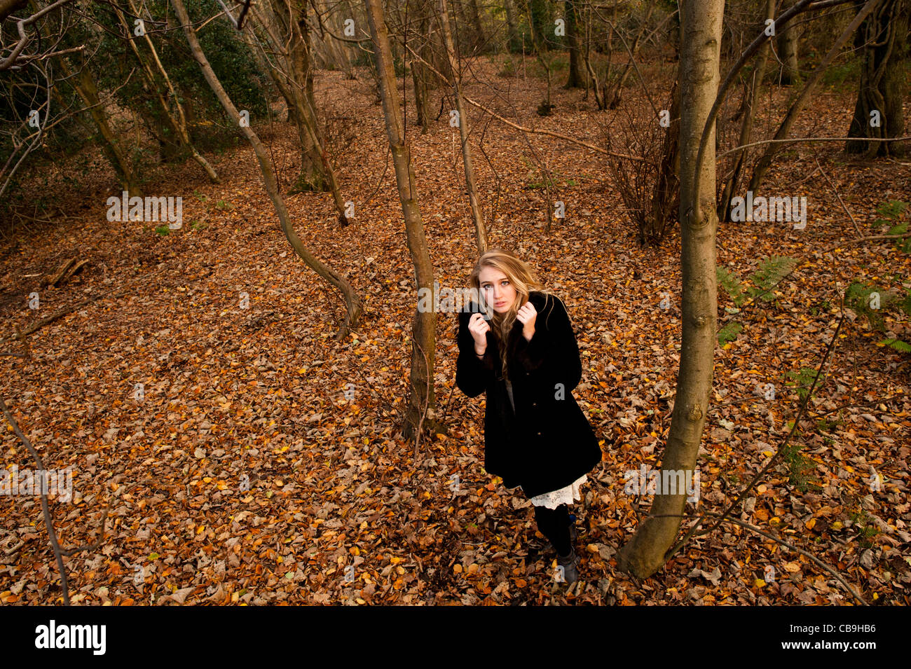 a slim blonde woman girl alone in woodland autumn afternoon daytime UK. looking scared frightened watched followed stalked Stock Photo