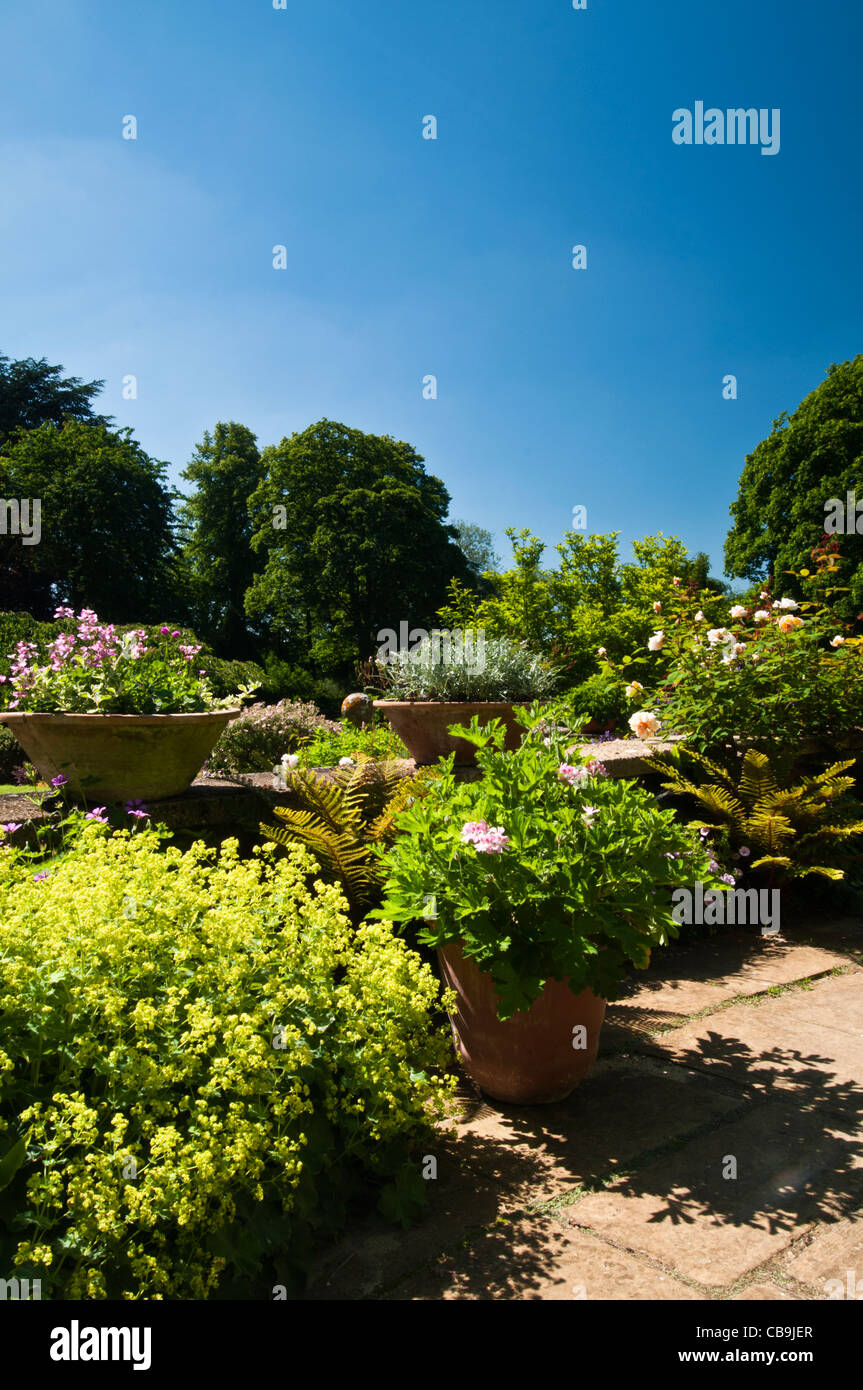 Garden Patio Pot Plants High Resolution Stock Photography and Images