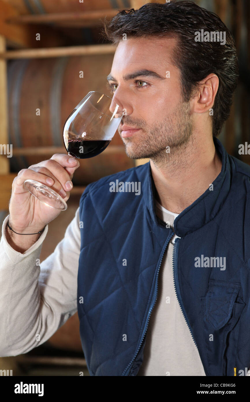 Man tasting wine in winery Stock Photo - Alamy