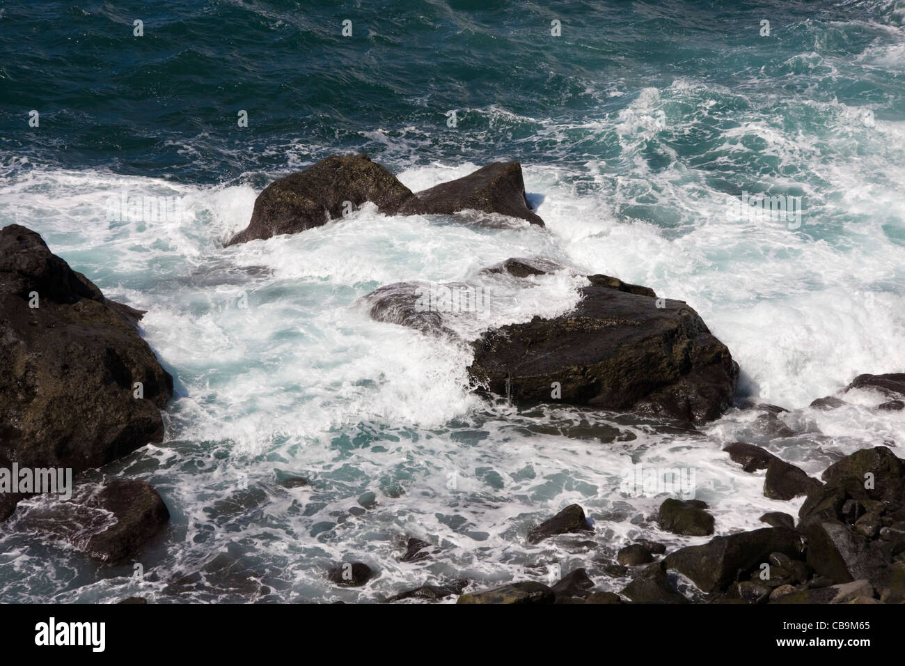 Hard rocks and rough seas, Camara de Lobos, near Funchal, Madeira Stock Photo