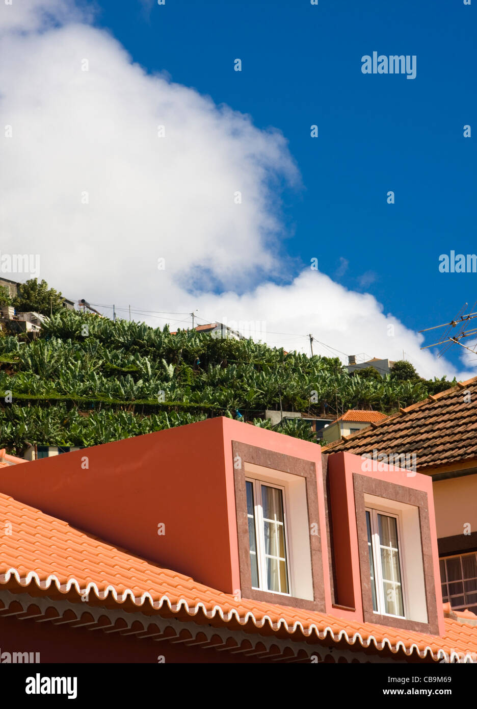 Roof tops and Banana Terraces, Camara de Lobos, near Funchal, Madeira, Autumn 2011, travel, color, colour, sea, coast, village, Stock Photo