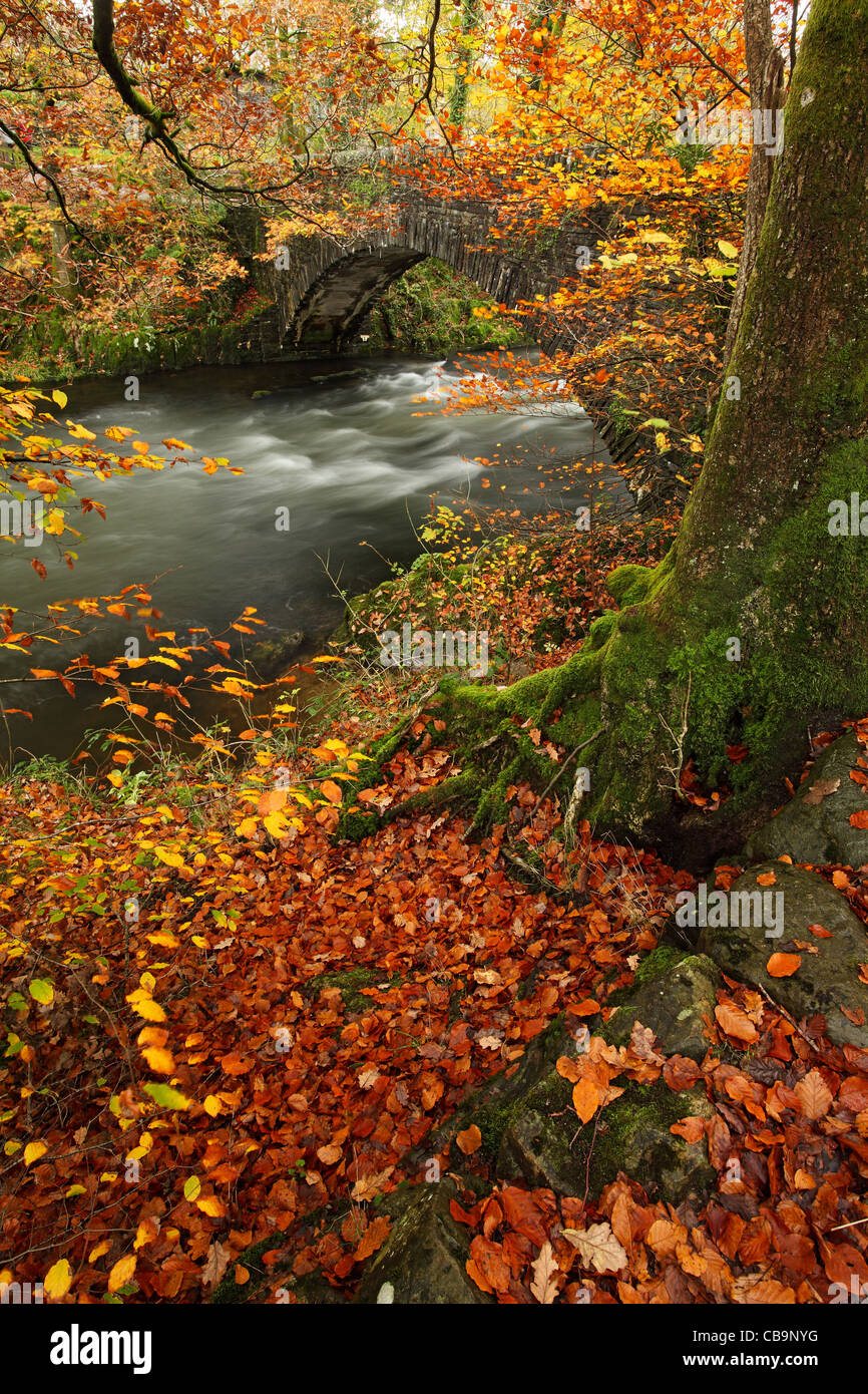 Water under the bridge, Autumnal scene, River Brathay, Lake District, Cumbria, England, Autumn, Landscape, professional Stock Photo