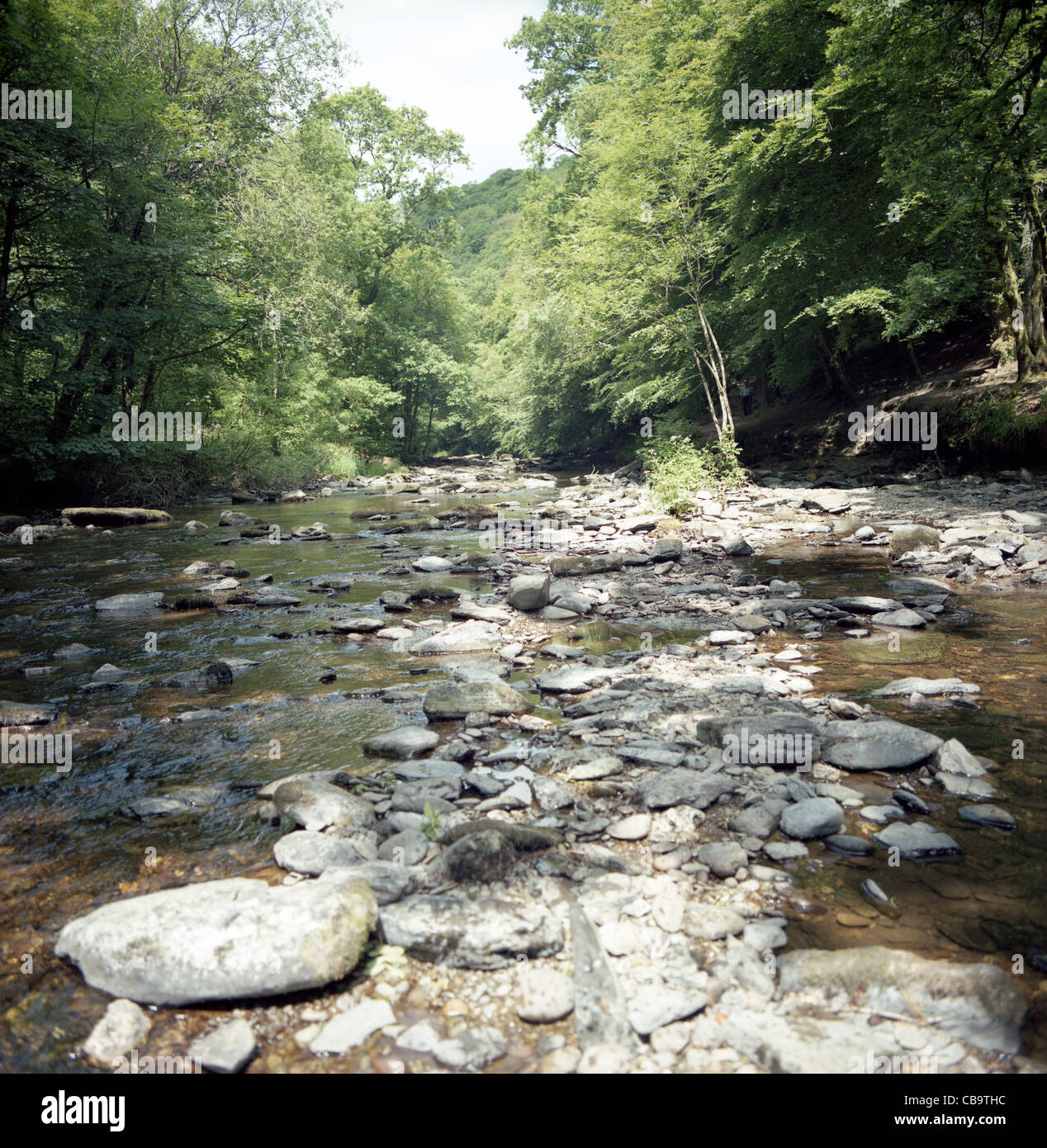 Barle hi-res stock photography and images - Alamy
