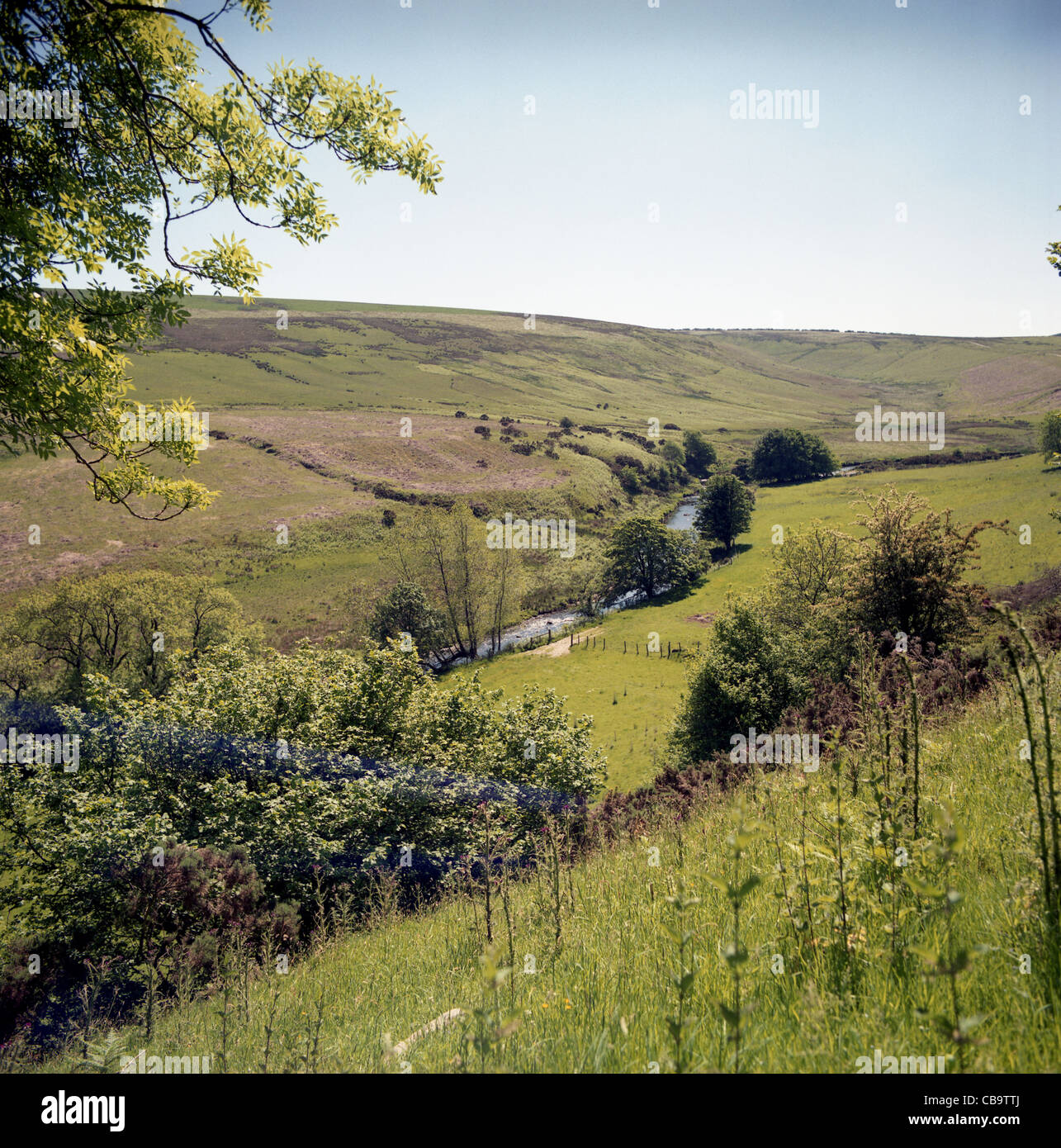 North Devon countryside, UK Stock Photo