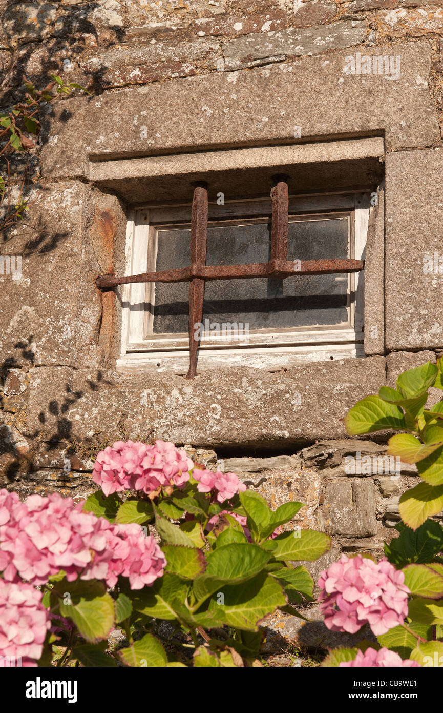 Rusty strong window bars deter burglars Stock Photo Alamy