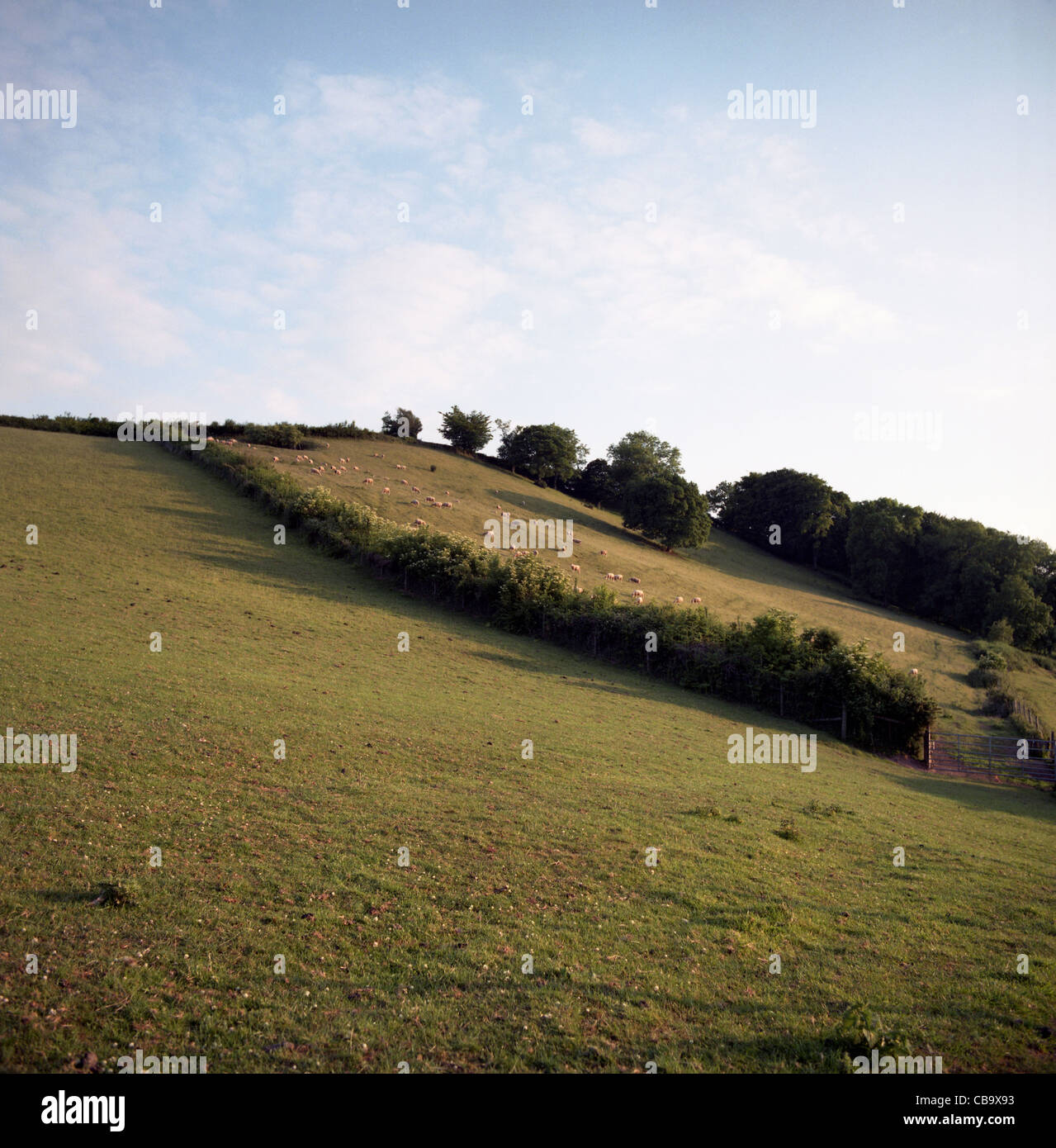North Devon countryside, UK Stock Photo - Alamy