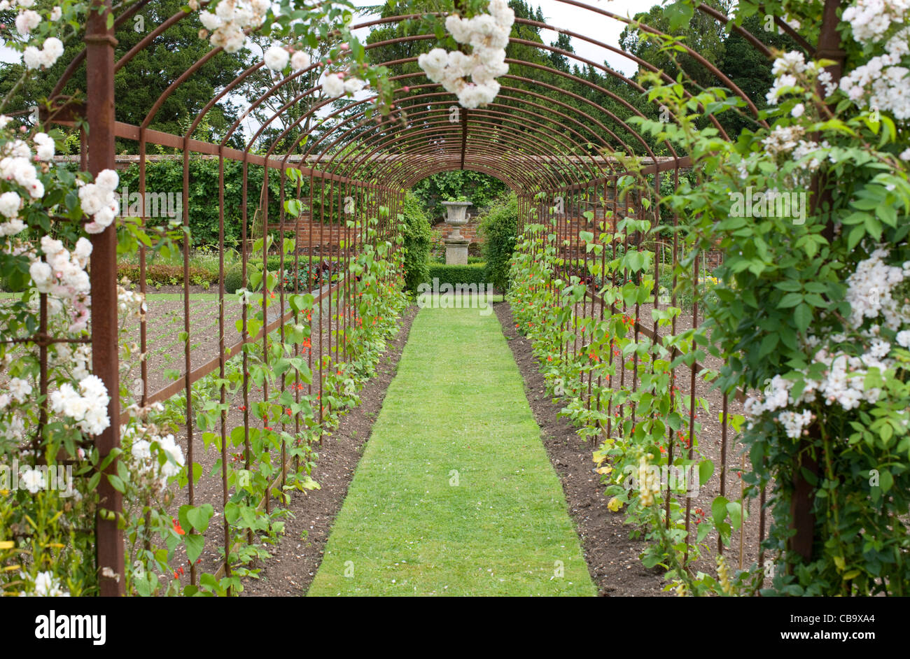 Runner Bean Frames, Helmingham Hall Gardens, Suffolk, UK Stock Photo