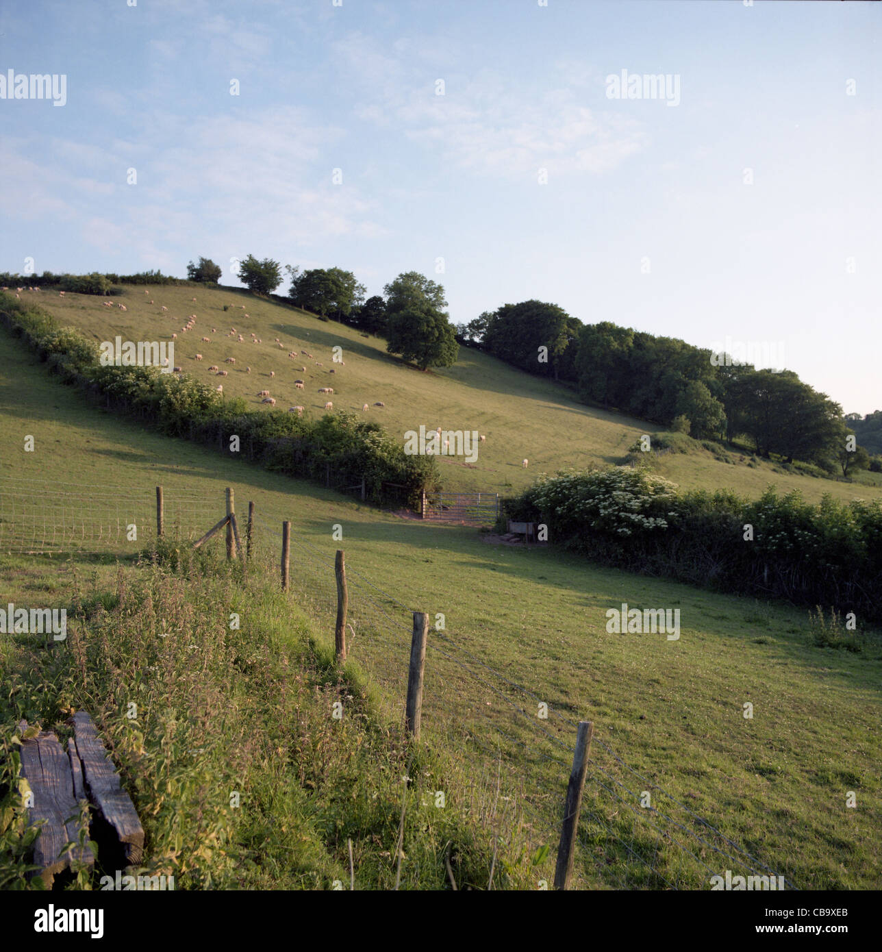 North Devon countryside, UK Stock Photo - Alamy