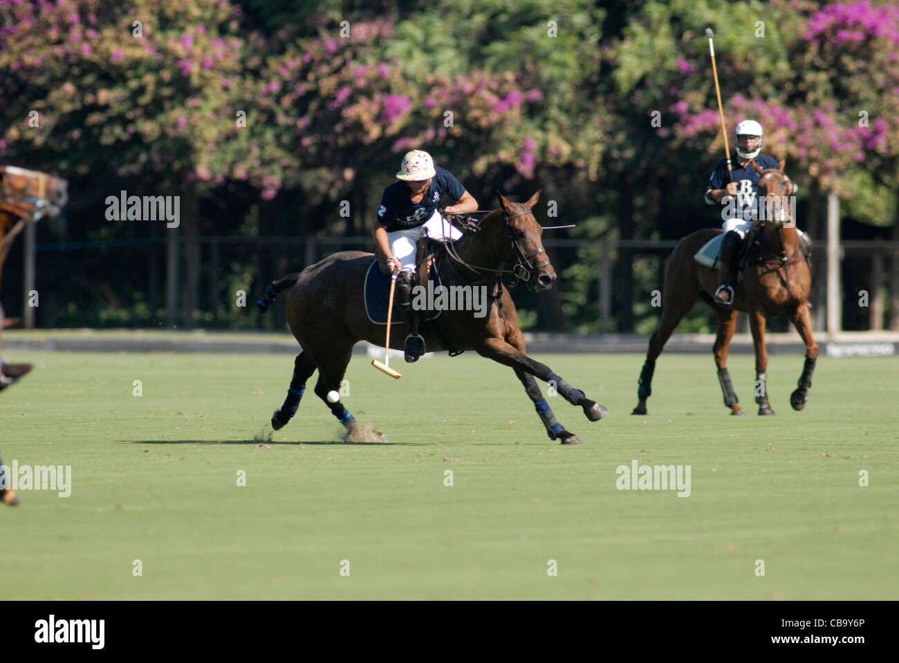 Polo player striking ball during match Stock Photo Alamy