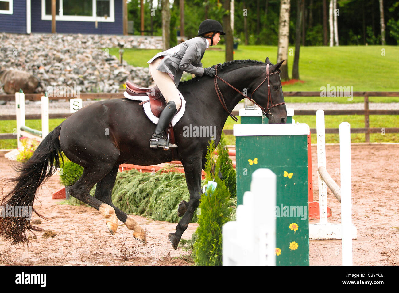 Black horse jumping fence Stock Photo