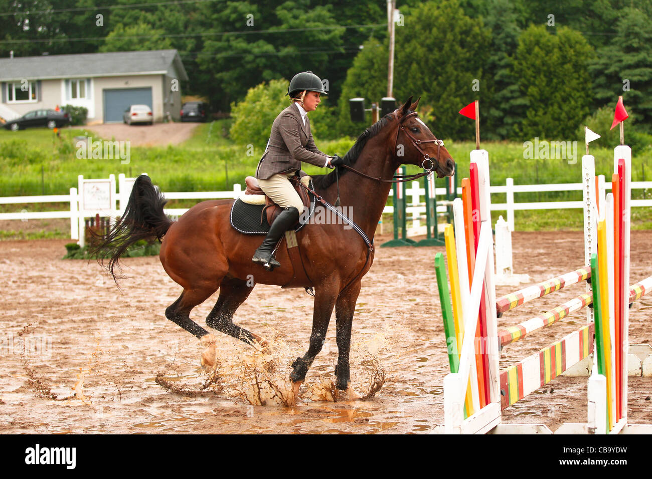 Horse jumping hires stock photography and images Alamy